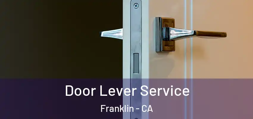  Door Lever Service Franklin - CA
