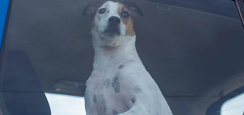 Car Lockout Solutions in Franklin, California